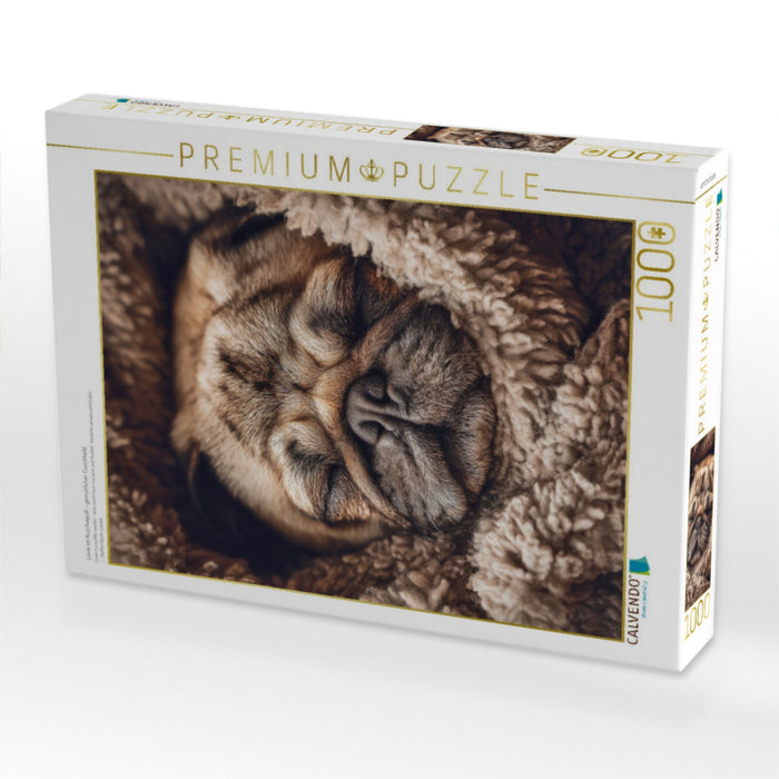 Louie im Kuschelpulli – gemütlicher Couchheld - CALVENDO Foto-Puzzle'