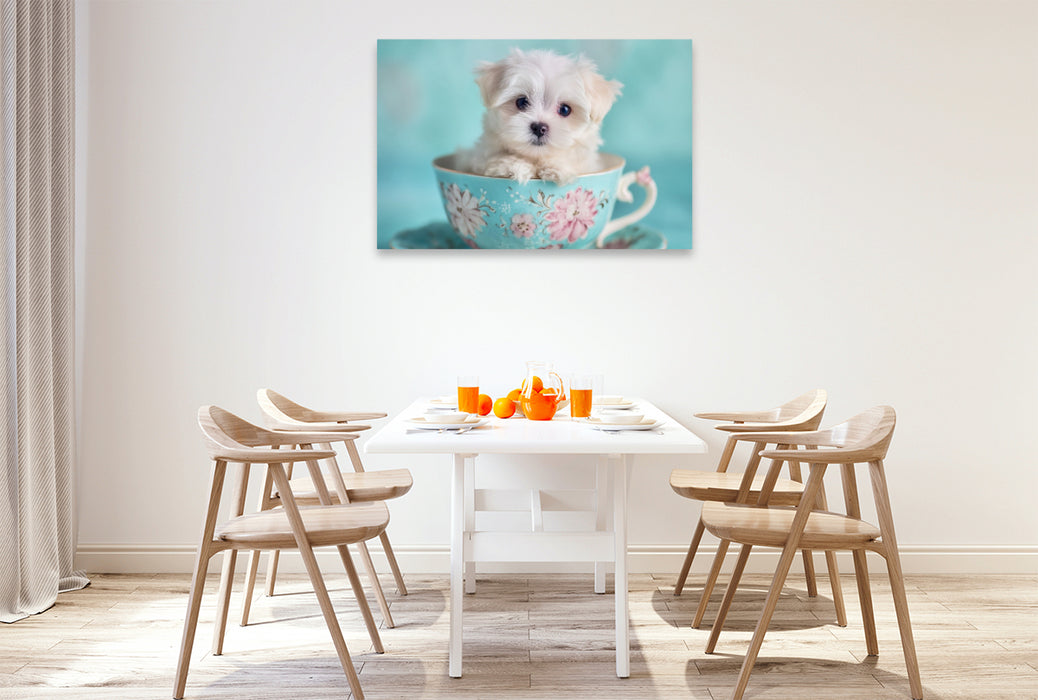 Premium Textil-Leinwand Teacup Maltese, der kleine mit großer Wirkung