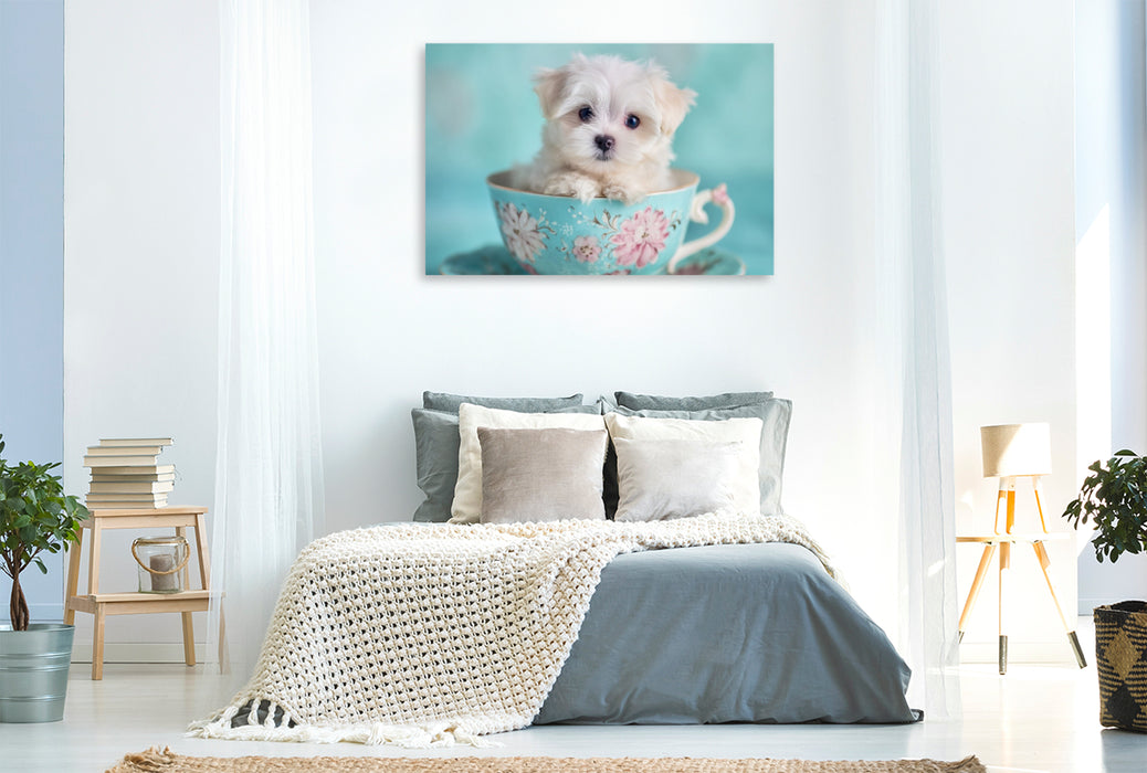 Premium Textil-Leinwand Teacup Maltese, der kleine mit großer Wirkung