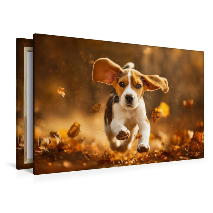 Premium Textil-Leinwand Beagle im Herbstlaub ist Lebensfreude pur