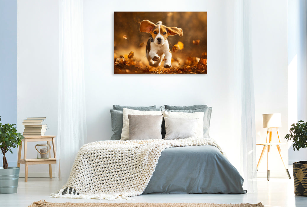 Premium Textil-Leinwand Beagle im Herbstlaub ist Lebensfreude pur