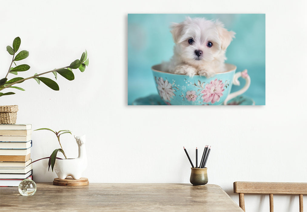 Premium Textil-Leinwand Teacup Maltese, der kleine mit großer Wirkung