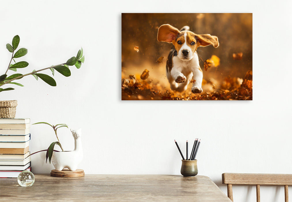 Premium Textil-Leinwand Beagle im Herbstlaub ist Lebensfreude pur