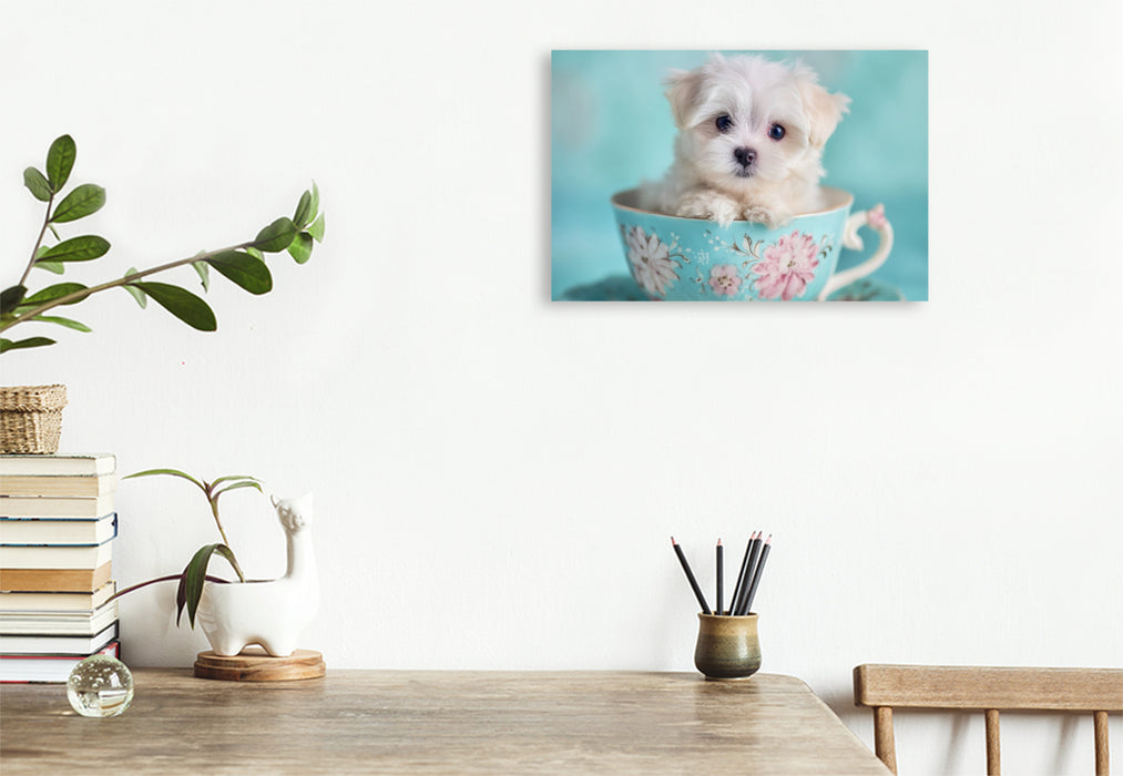 Premium Textil-Leinwand Teacup Maltese, der kleine mit großer Wirkung