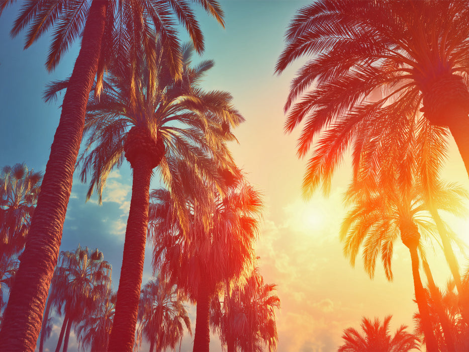 Sonnenuntergang wie 1979 - CALVENDO Foto-Puzzle'