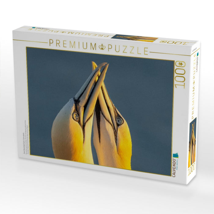 Zwei Basstölpel beim Schnäbeln - CALVENDO Foto-Puzzle'