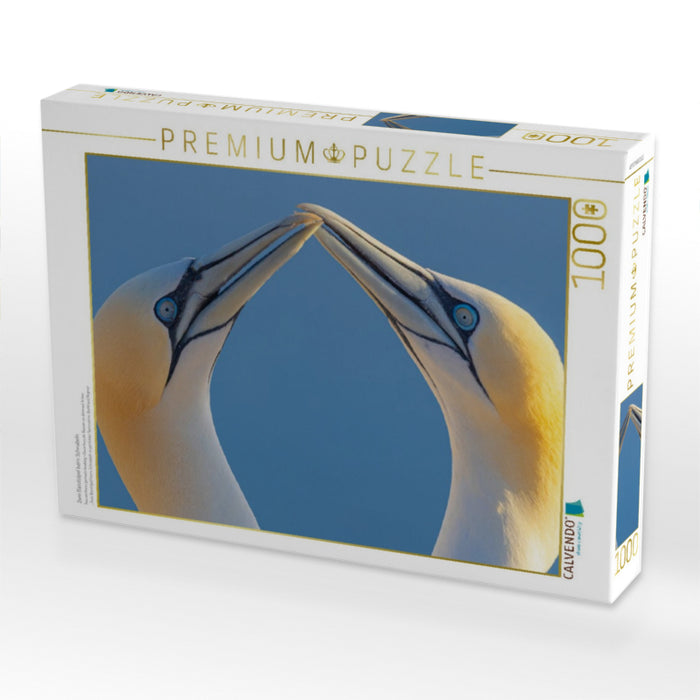 Zwei Basstölpel beim Schnäbeln - CALVENDO Foto-Puzzle'