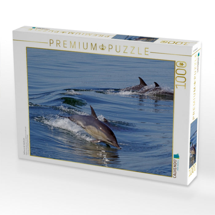 Delfine an der Westküste - CALVENDO Foto-Puzzle'
