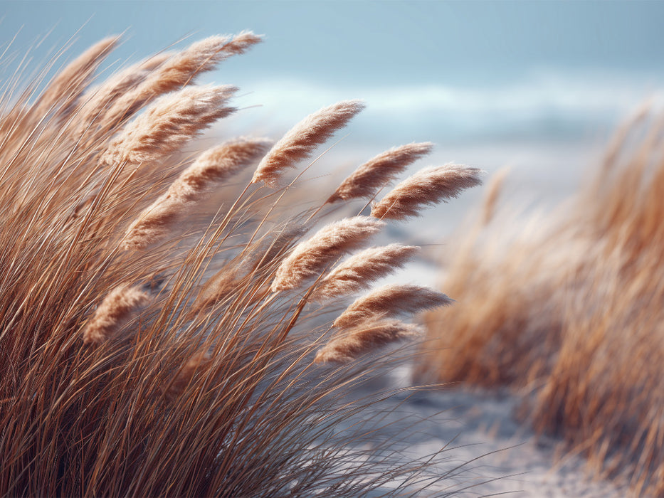 Späte Sommerbrise - CALVENDO Foto-Puzzle'