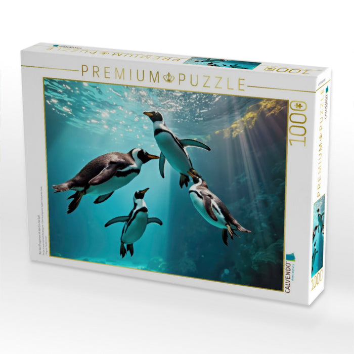 Bei den Pinguinen ist das Eis nie kalt. - CALVENDO Foto-Puzzle'