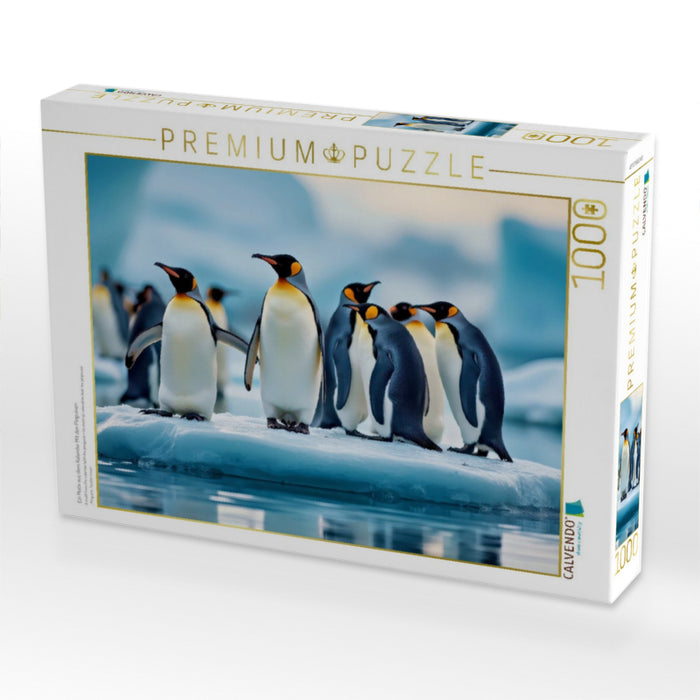 Ein Motiv aus dem Kalender Mit den Pinguinen - CALVENDO Foto-Puzzle'