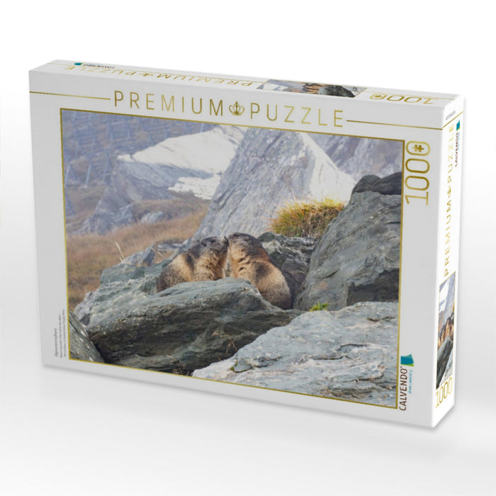Alpenmurmeltiere - CALVENDO Foto-Puzzle'