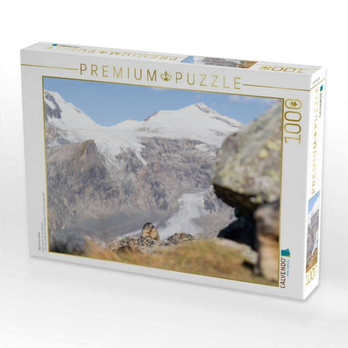 Alpenmurmeltier - CALVENDO Foto-Puzzle'