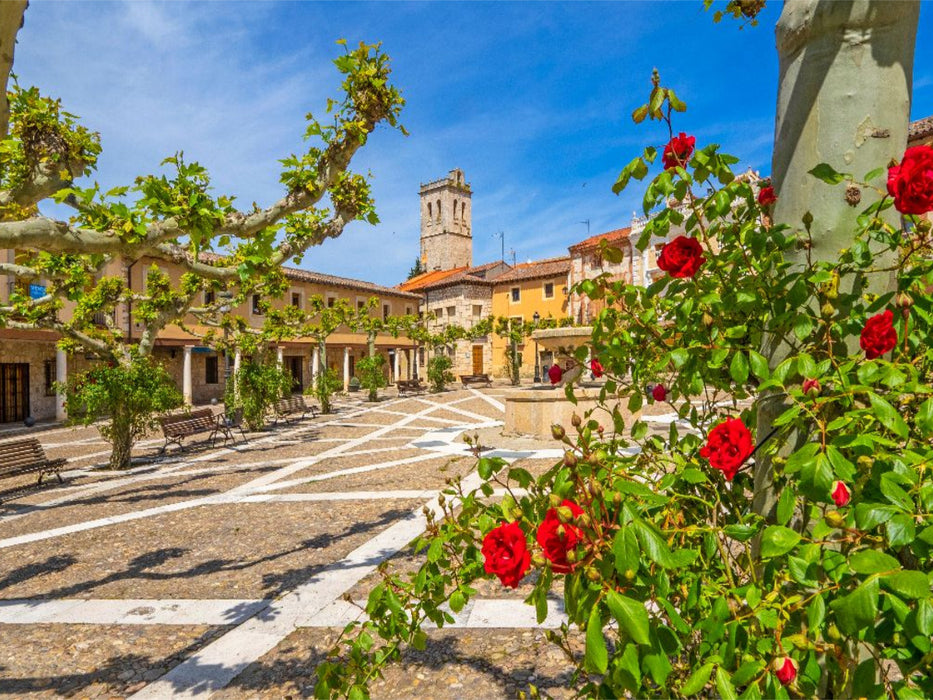 Rosen im Ortszentrum von Torija in der Provinz Guadalajara - CALVENDO Foto-Puzzle'