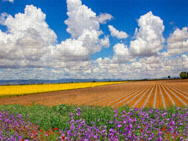 Schöne Ackerfelder in Valdepeñas - CALVENDO Foto-Puzzle'