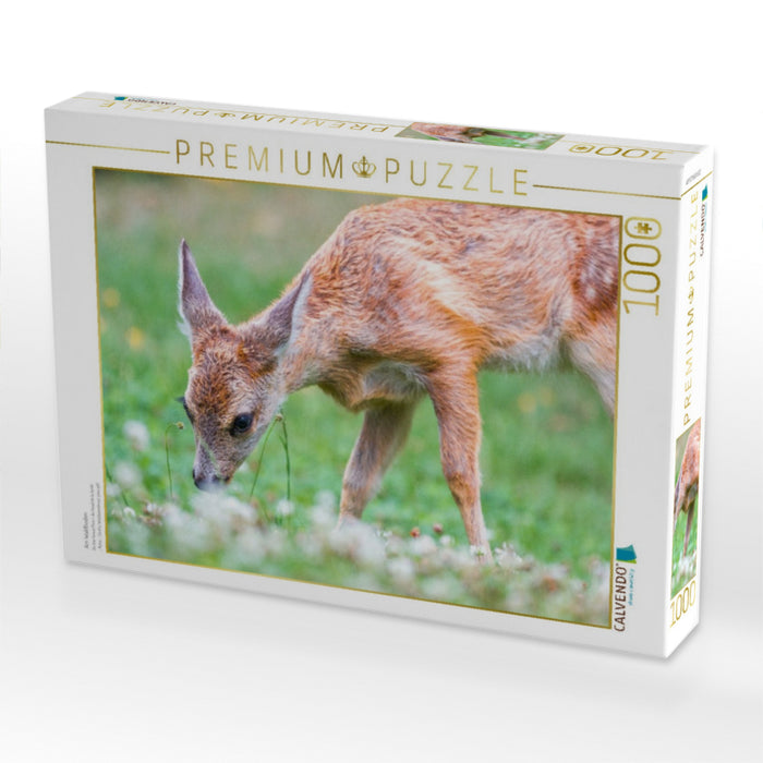 Am Waldboden - CALVENDO Foto-Puzzle'