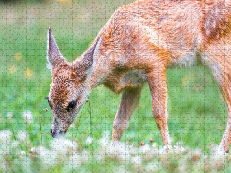 Am Waldboden - CALVENDO Foto-Puzzle'