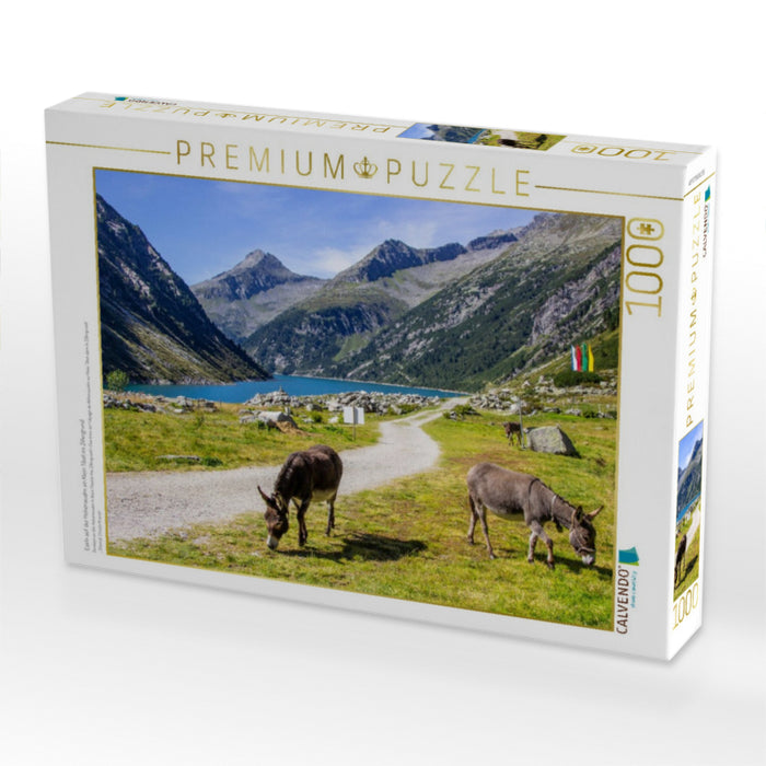Eseln auf der Hohenaualm im Klein Tibet im Zillergrund - CALVENDO Foto-Puzzle'