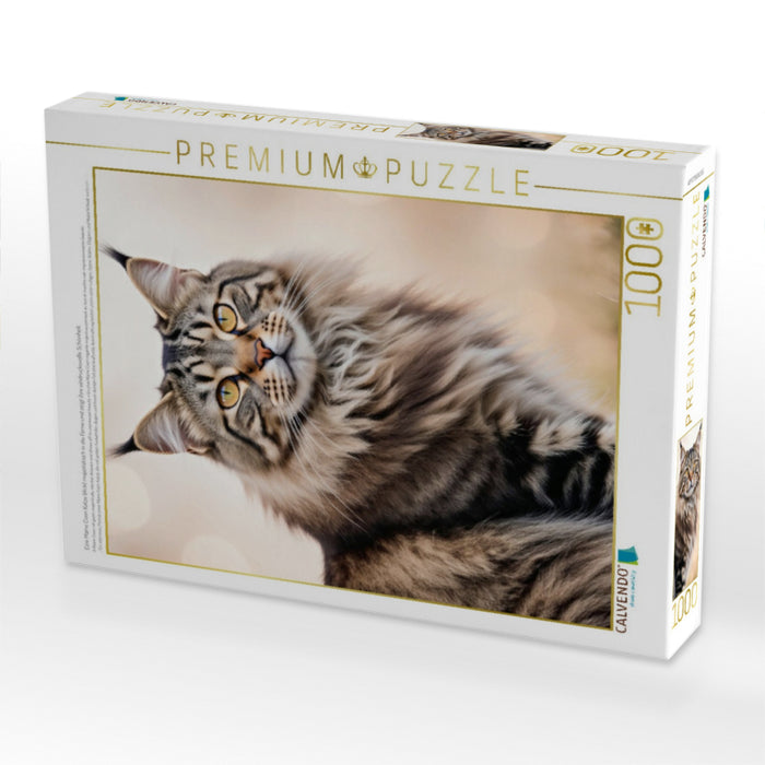 Eine Maine Coon Katze blickt majestätisch in die Ferne und zeigt ihre eindrucksvolle Schönheit. - CALVENDO Foto-Puzzle'