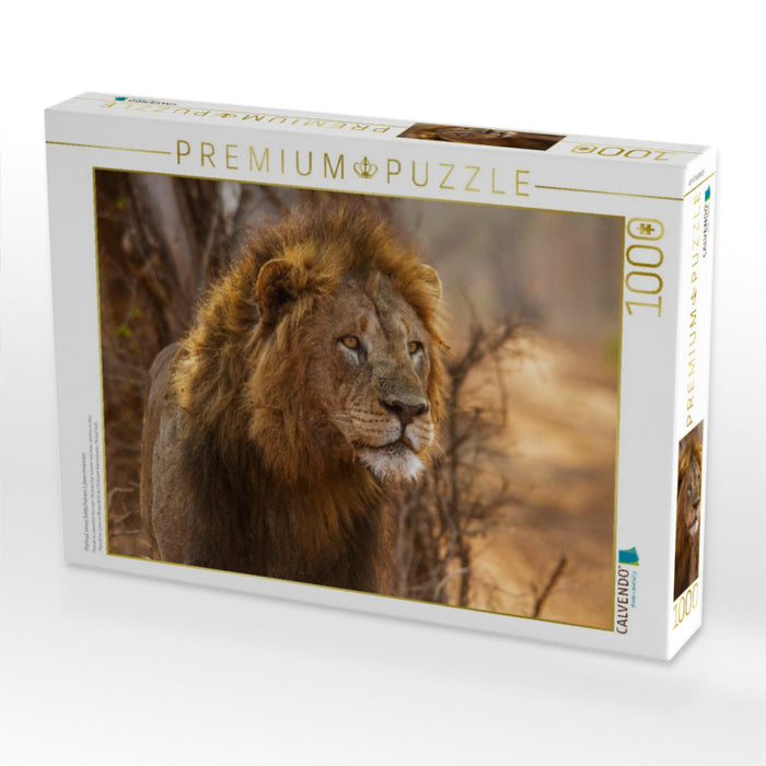 Portrait eines bildschönen Löwenmannes - CALVENDO Foto-Puzzle'