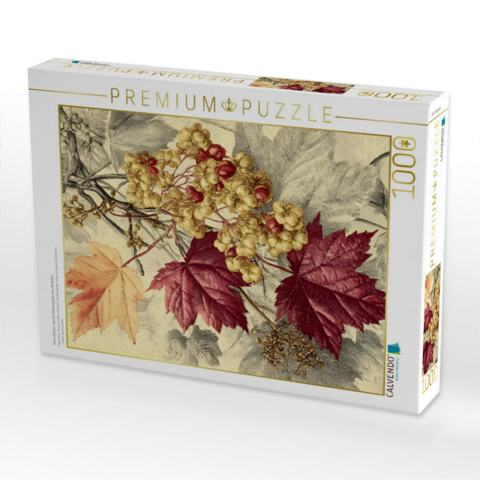 Ahornblätter, warme Farbenspiele des Herbstes - CALVENDO Foto-Puzzle'