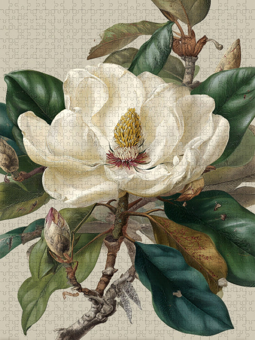 Magnolienblüten, Symbol für Reinheit und Erneuerung - CALVENDO Foto-Puzzle'