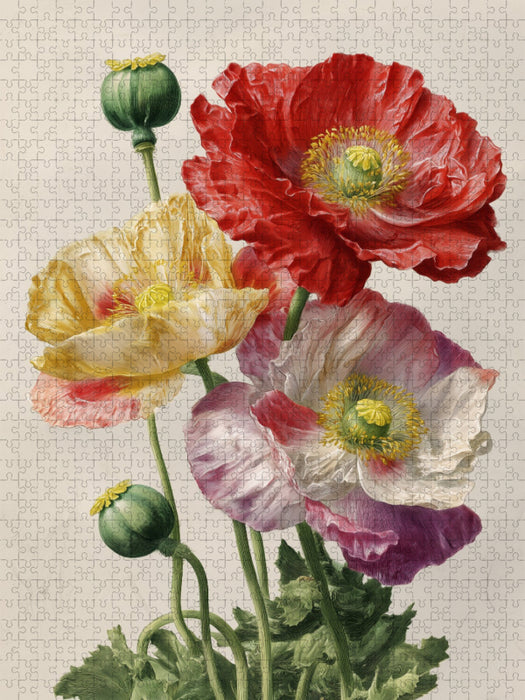 Feurige Mohnblumen, Symbol für Lebendigkeit und Freiheit - CALVENDO Foto-Puzzle'