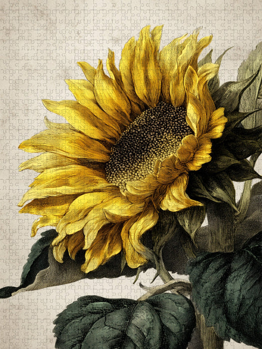 Strahlende Sonnenblumen, goldene Boten des Sommers - CALVENDO Foto-Puzzle'
