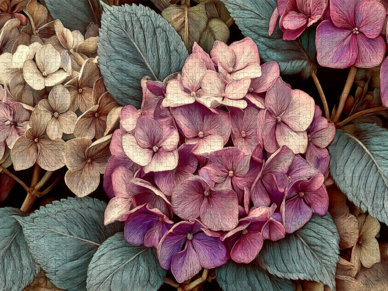 Anmutige Hortensien, prachtvolle Blüten in zarten Farben - CALVENDO Foto-Puzzle'