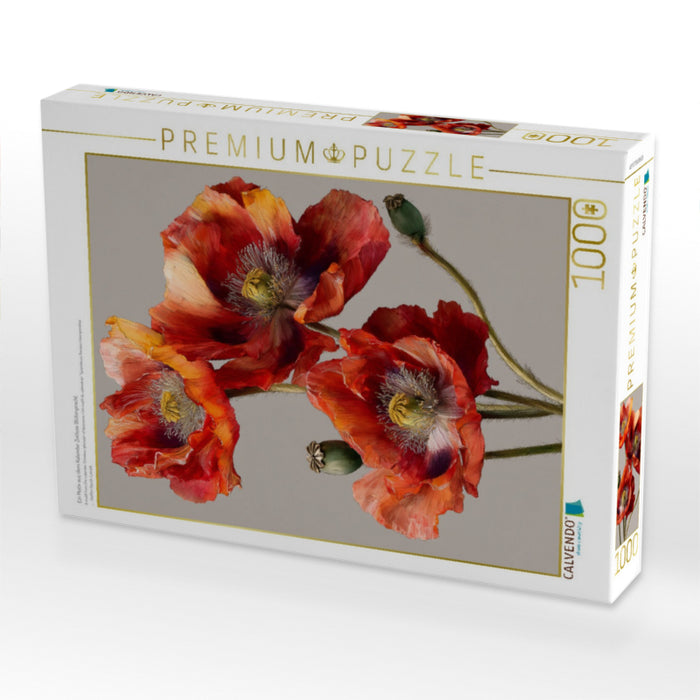 Ein Motiv aus dem Kalender Zeitlose Blütenpracht - CALVENDO Foto-Puzzle'