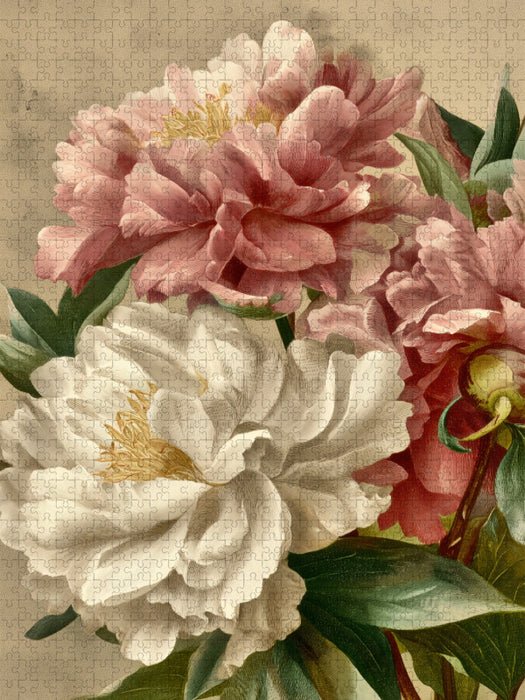 Üppige Pfingstrosen, Sinnbild für Fülle und Anmut - CALVENDO Foto-Puzzle'