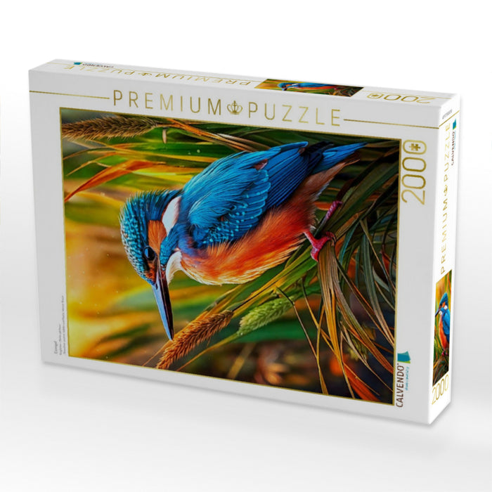 Eisvogel - CALVENDO Foto-Puzzle'