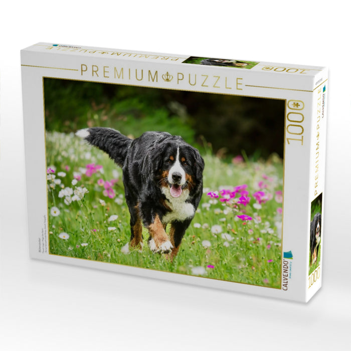 Blütenzauber - CALVENDO Foto-Puzzle'