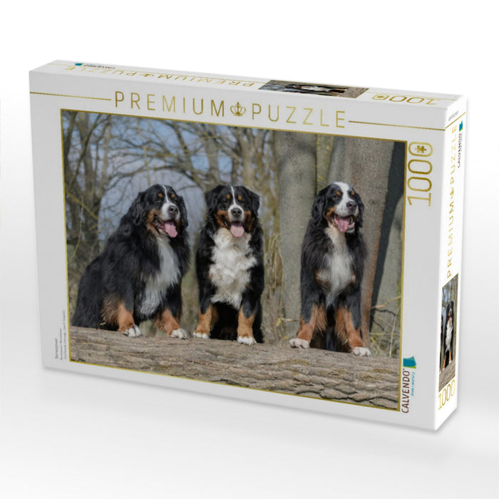 Bernerpower - CALVENDO Foto-Puzzle'