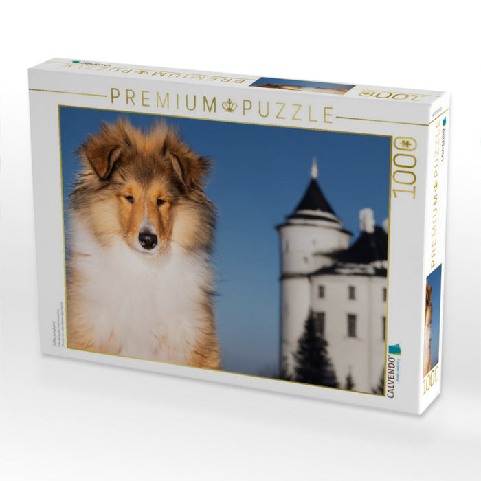 Collie Junghund - CALVENDO Foto-Puzzle'