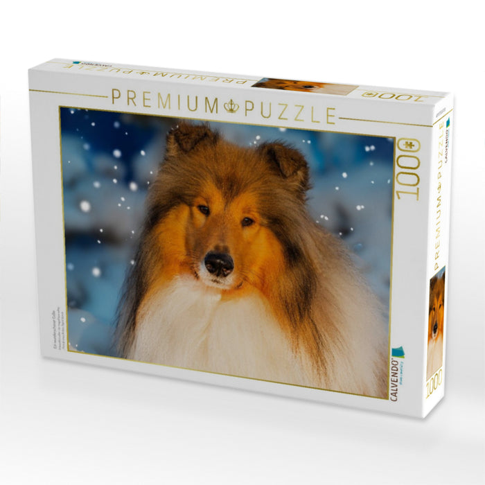 Ein wunderschöner Collie - CALVENDO Foto-Puzzle'