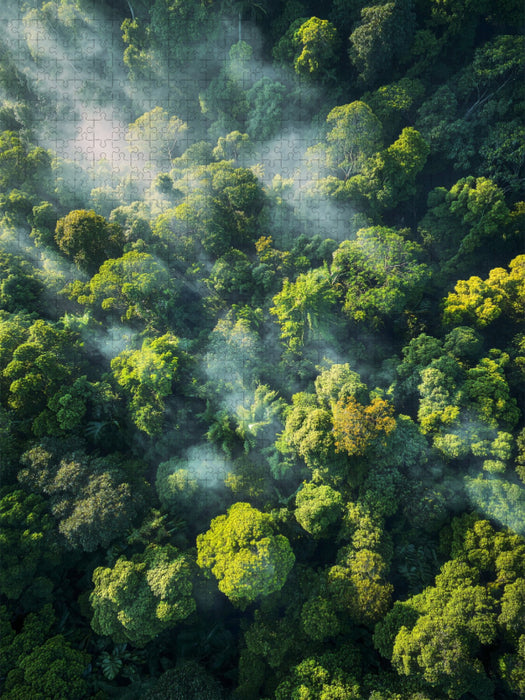 Amazonas Krone im Morgendunst, Millionen Blätter atmen Leben - CALVENDO Foto-Puzzle'