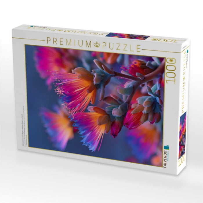 Wüstenblüte nach Regen, seltenes Zusammenspiel - CALVENDO Foto-Puzzle'