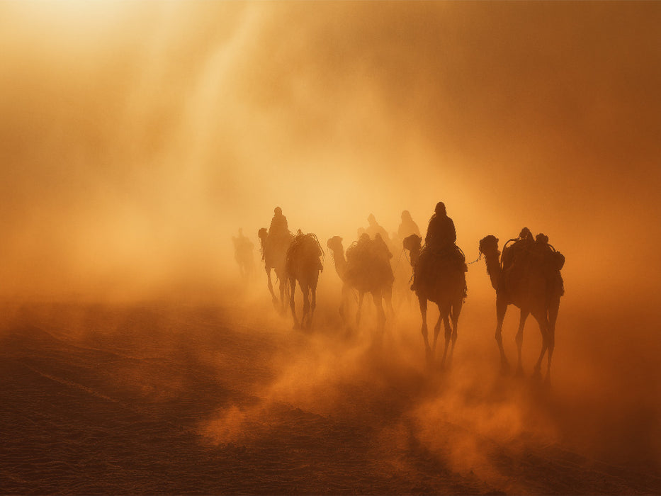 Tanz der Wüste, vergängliche Formen, ewige Kraft - CALVENDO Foto-Puzzle'