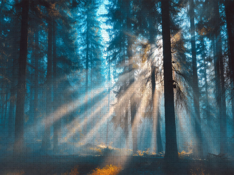 Zwischen Licht und Traum die Welt erwacht - CALVENDO Foto-Puzzle'