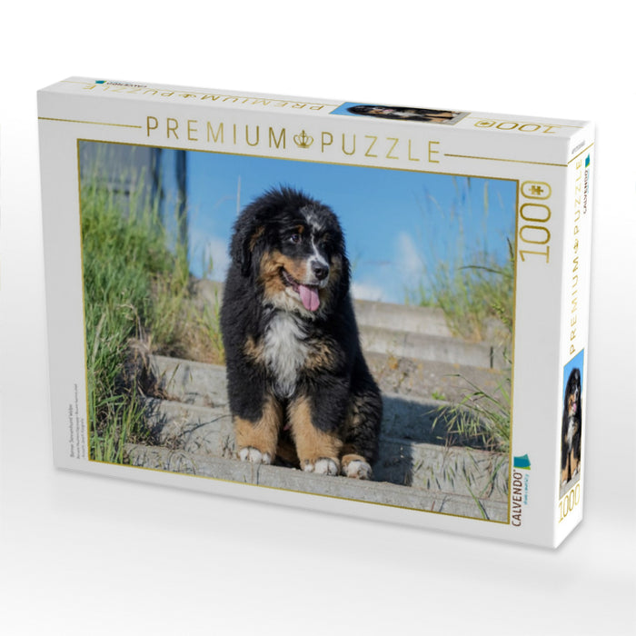 Berner Sennenhund Welpe - CALVENDO Foto-Puzzle'