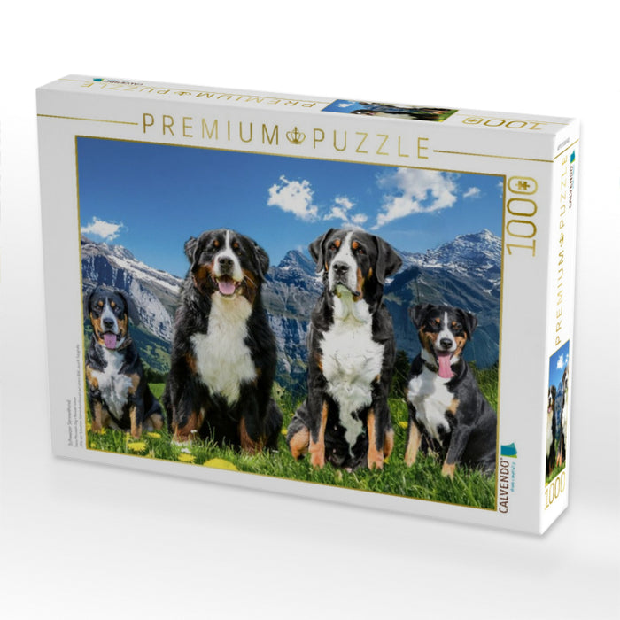 Schweizer Sennenhund - CALVENDO Foto-Puzzle'