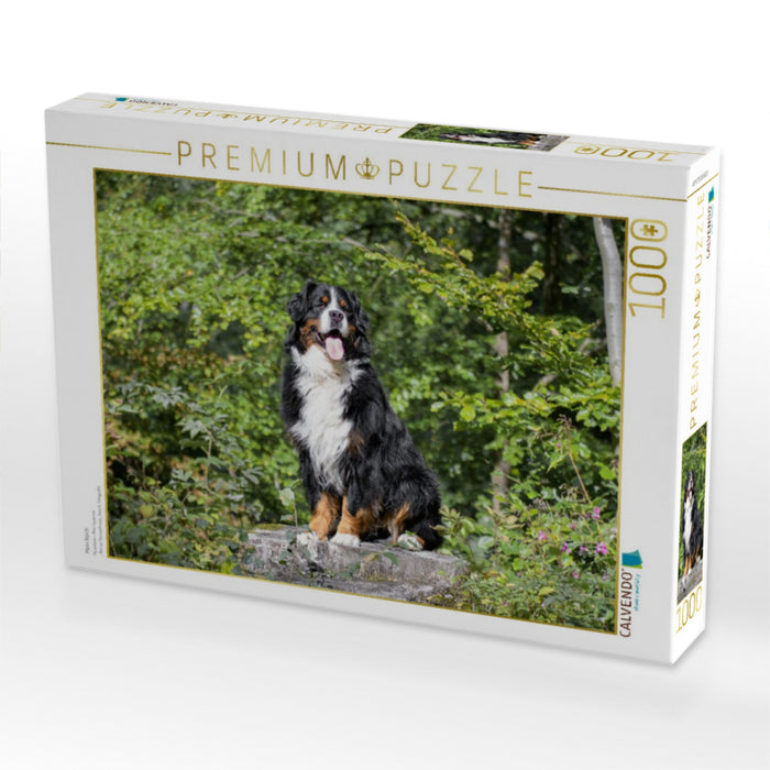 Mein Reich - CALVENDO Foto-Puzzle'