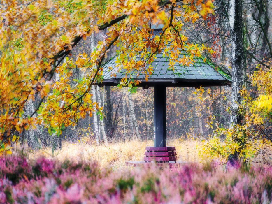 Heide im Stadtpark - CALVENDO Foto-Puzzle'