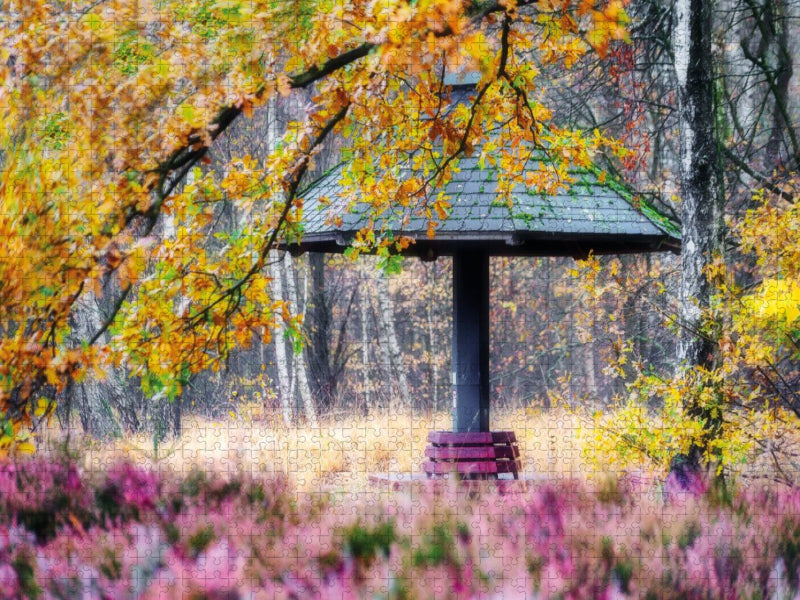 Heide im Stadtpark - CALVENDO Foto-Puzzle'