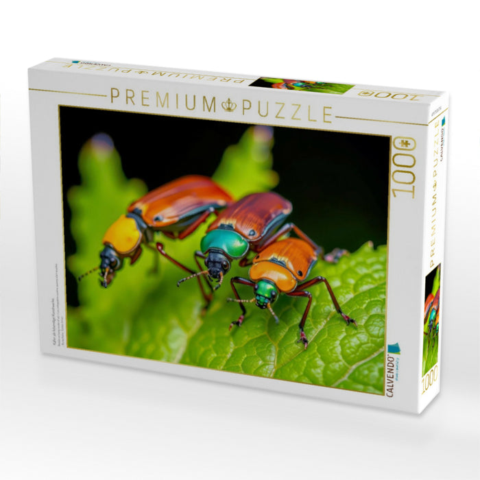 Käfer als lebendige Kunstwerke. - CALVENDO Foto-Puzzle'