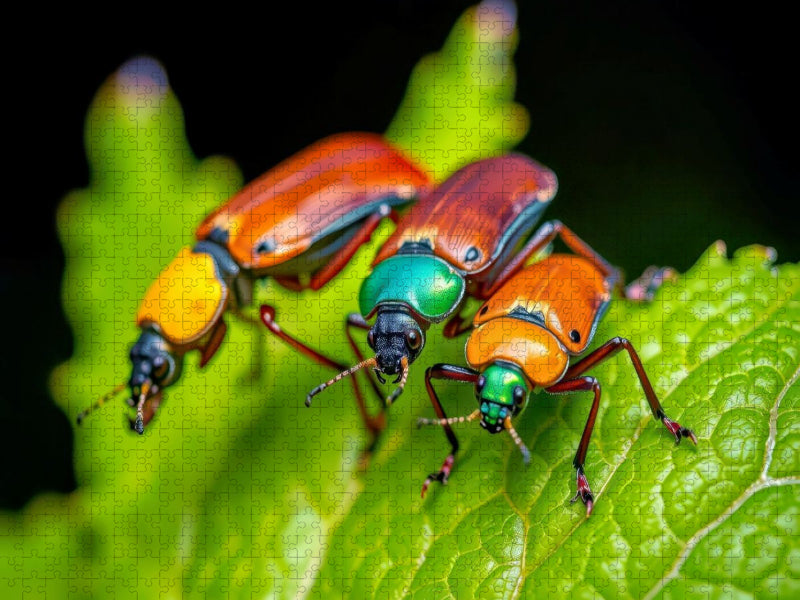 Käfer als lebendige Kunstwerke. - CALVENDO Foto-Puzzle'