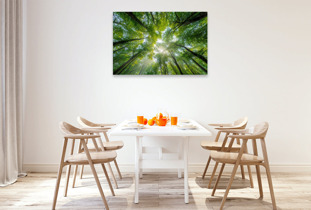 Premium Textil-Leinwand Sonnenstrahlen fallen durch das dichte Blätterdach eines sommerlichen Waldes und schaffen eine Atmosphäre der Ruhe und Entspannung.