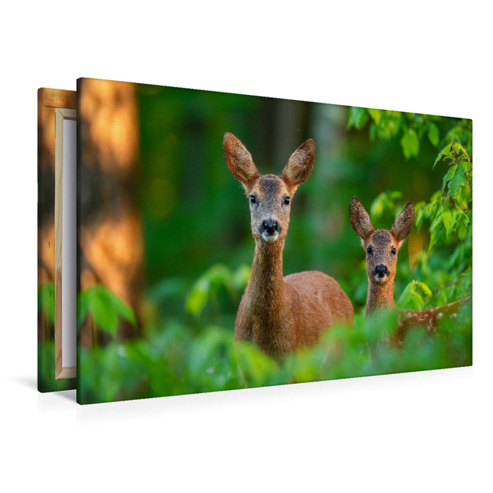 Premium Textil-Leinwand Eine Rehgeiß steht mit ihrem Kitz im grünen Frühlingswald und blickt aufmerksam durch das frische Laub.