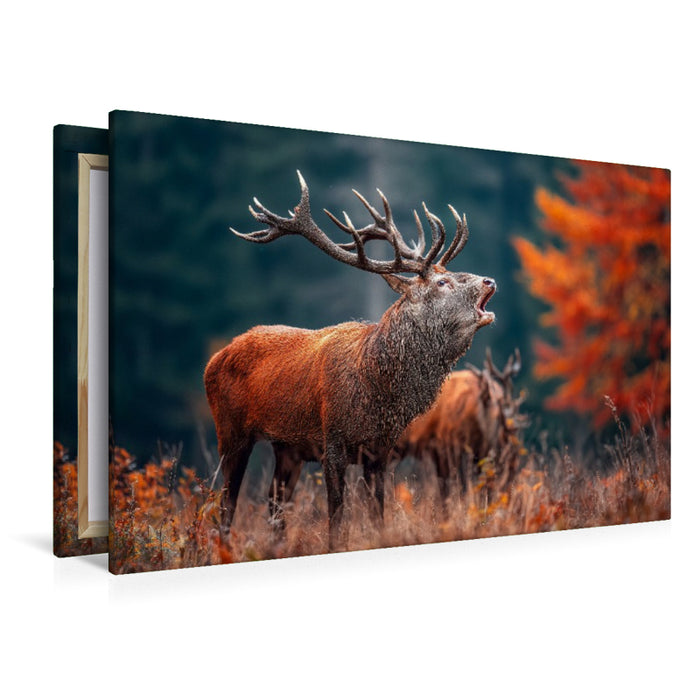Premium Textil-Leinwand Ein mächtiger Hirsch ruft während der Brunft im herbstlichen Wald und zeigt seine ganze Stärke und Präsenz.